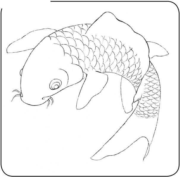 国画鱼的画法教程