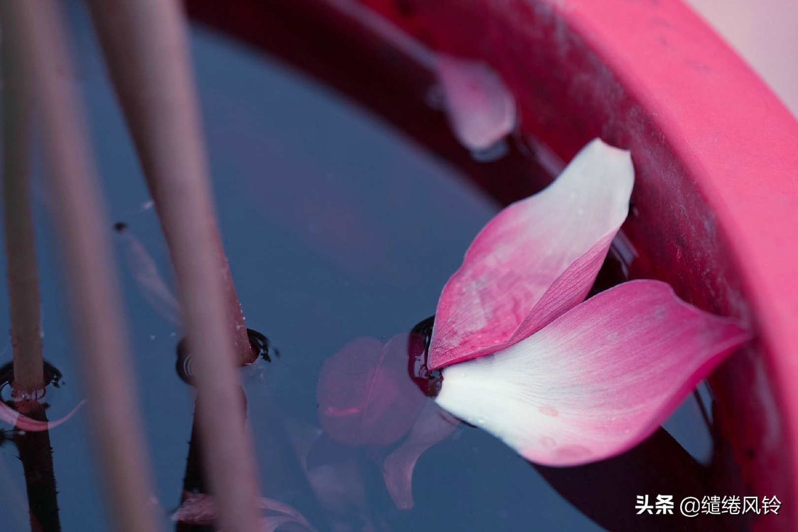 剑未佩妥，出门已是江湖——50句古风文艺诗句，美到窒息