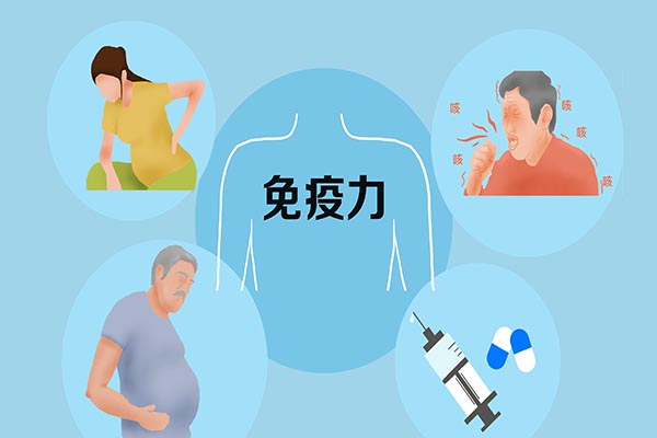 增强免疫力的十大药物：频繁生病与极少生病人群适用