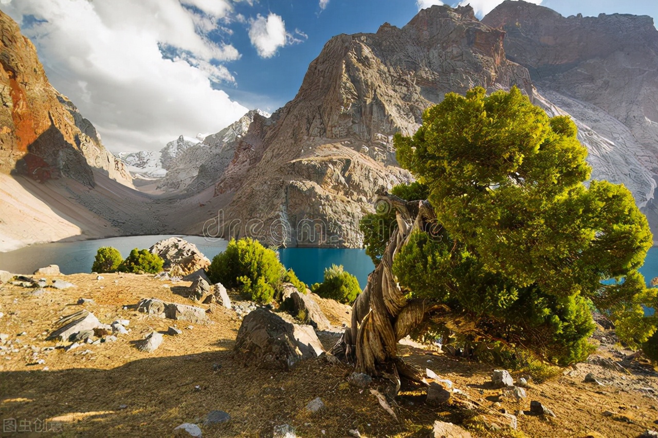 高中英语阅读教学的困境、原因及应对策略