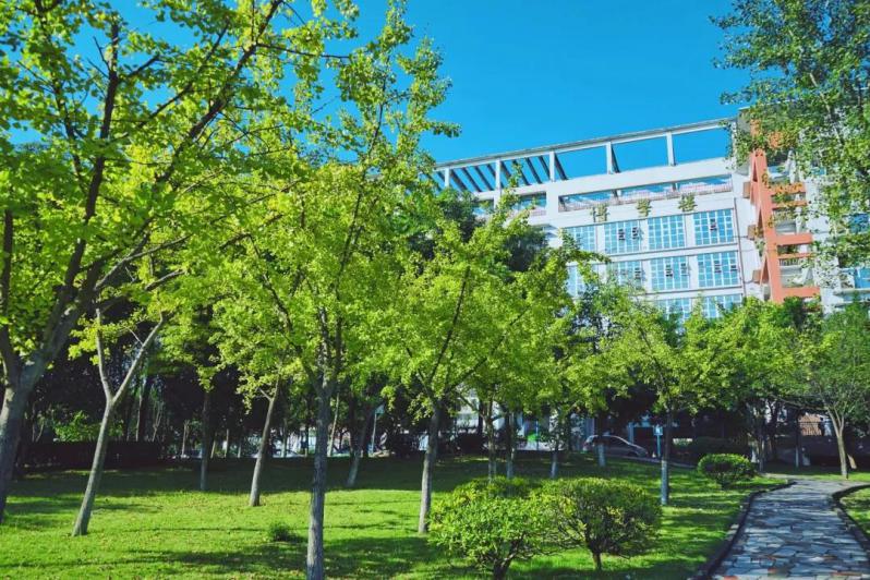 从1950到2020，这所由刘伯承元帅亲任校长的高等政法学府，如今70岁了！