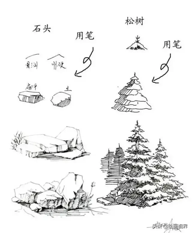 干货！教你15种速写植物配景画法，简单易学，学会画速写很简单