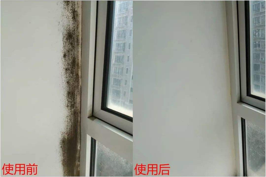 看完日本厨房，发现我根本不懂装修！这些“先进”设计，让人佩服