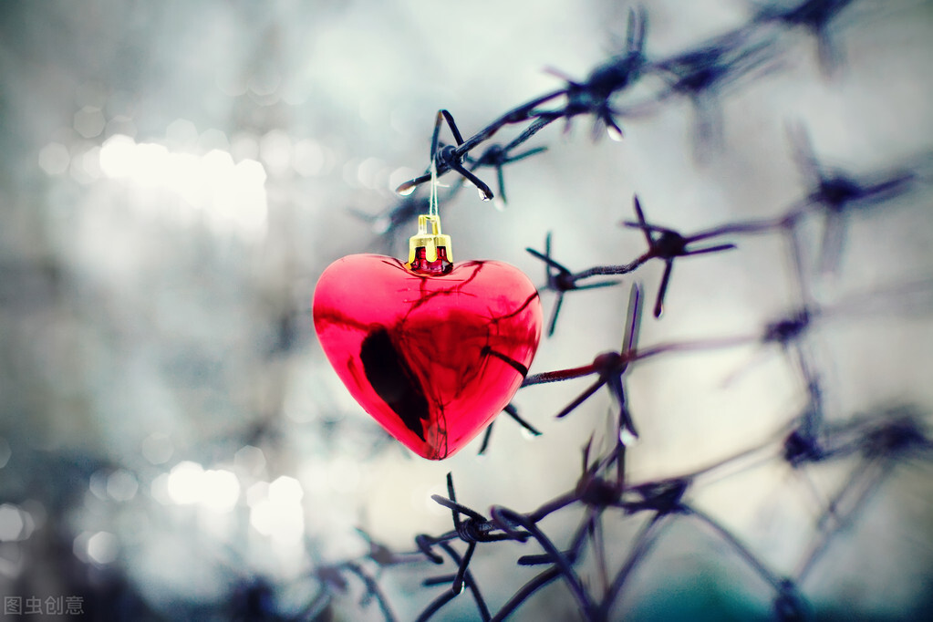 有一种爱情—回避型人格的爱情