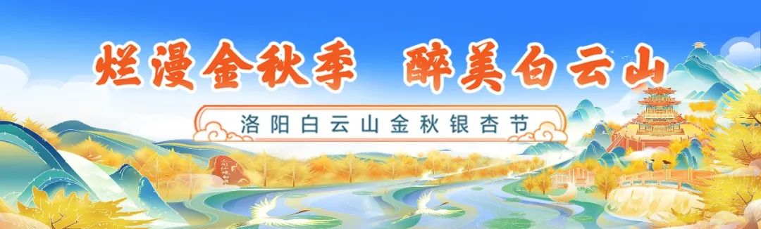 金秋限定！打卡“中国银杏之乡”，相约醉美白云山