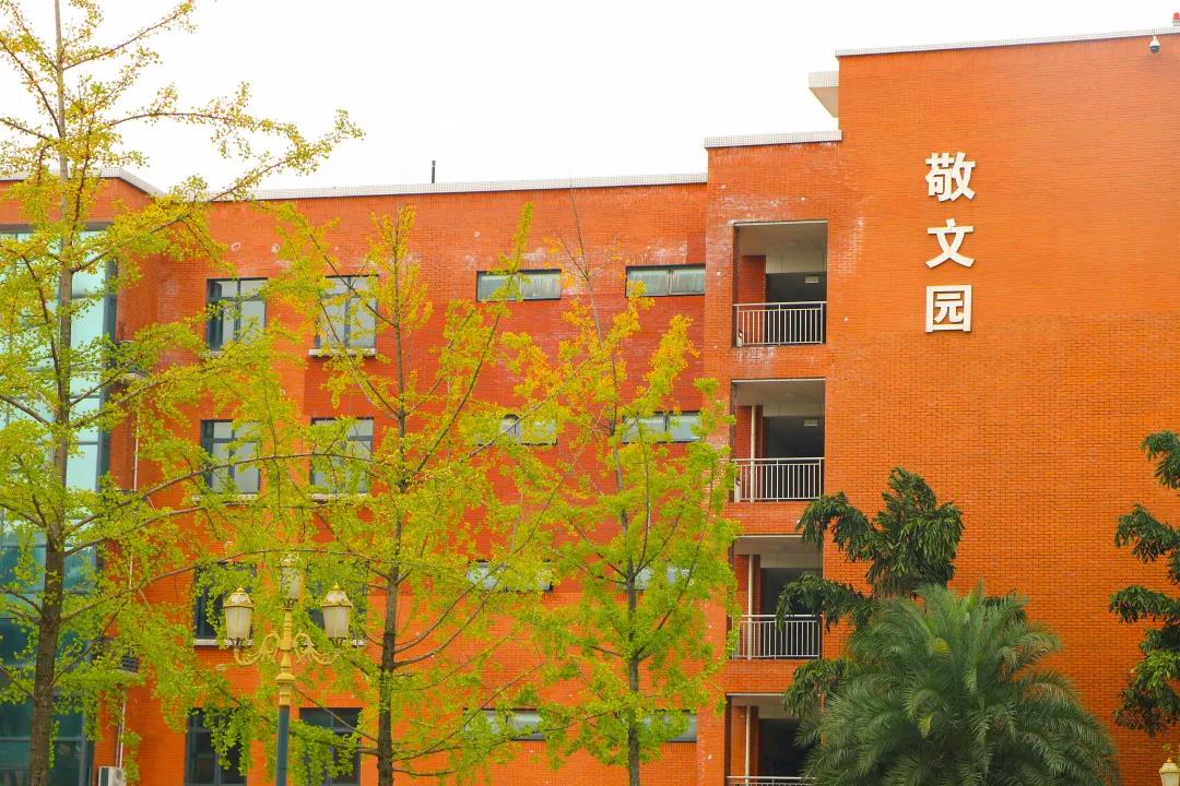 西南民族大学美术理论考研经验｜被定义的人生需要改变