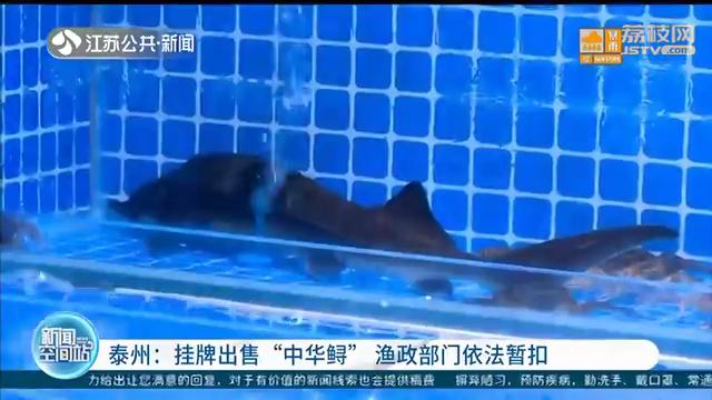 鱘魚價格,鱘魚價格2021年市場價