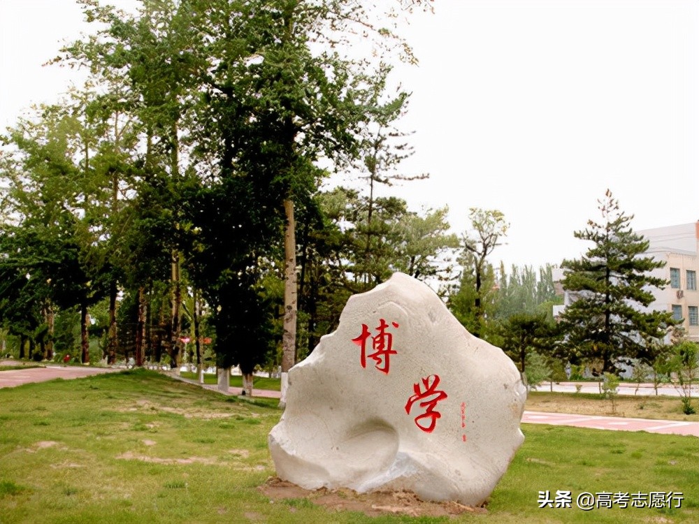 青海大学医学院官网「青海大学医学院研究生」-爱妻自媒体