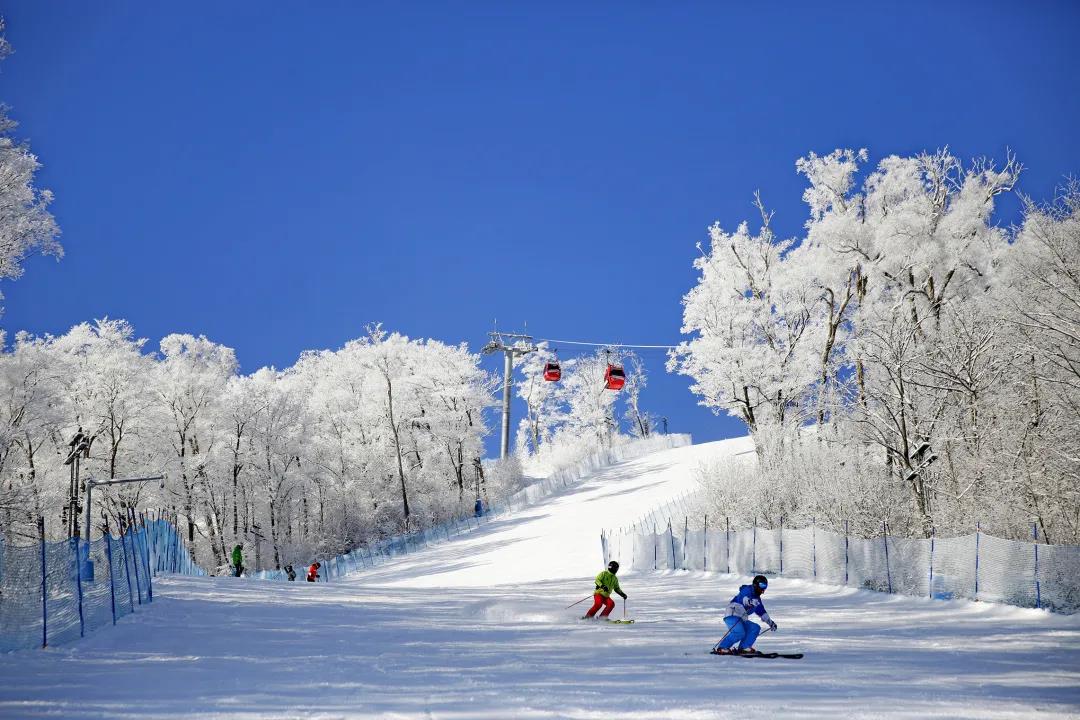 滑雪的手套必须有什么性质（这六个是滑雪的必备装备）