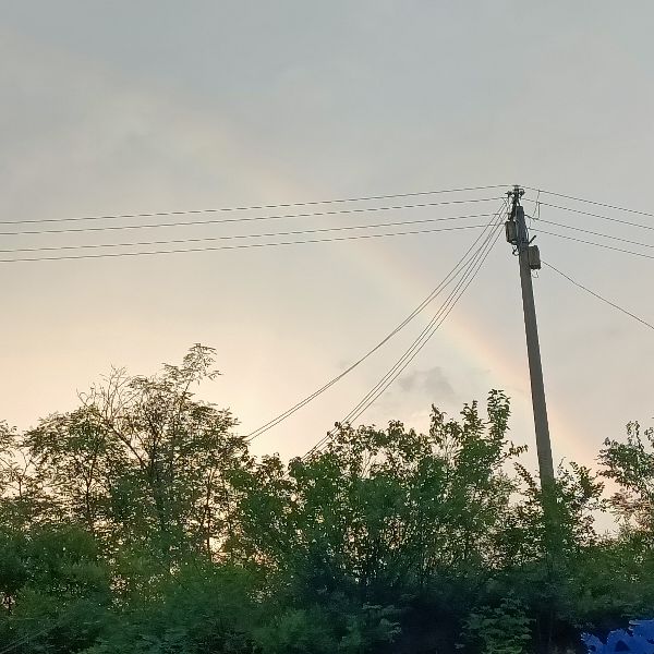 未来已来，勇于面对——读《未来学校》