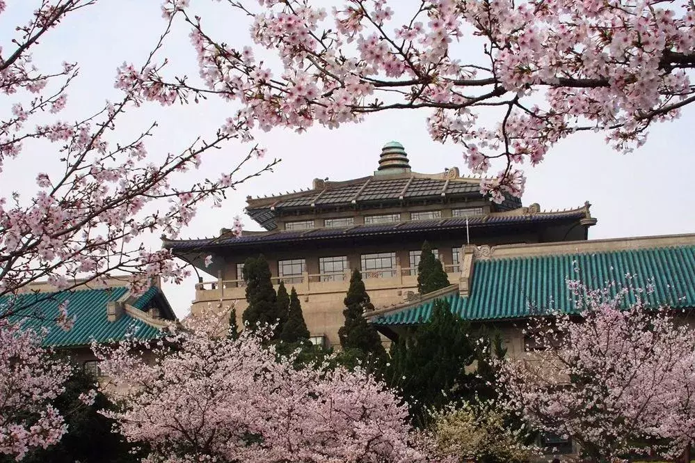 上大学以后，应该如何丰富课余生活？这些社团活动了解一下