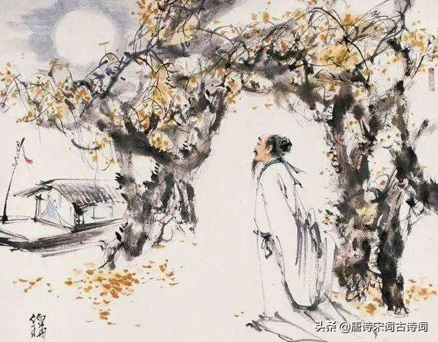 白居易的易与不易