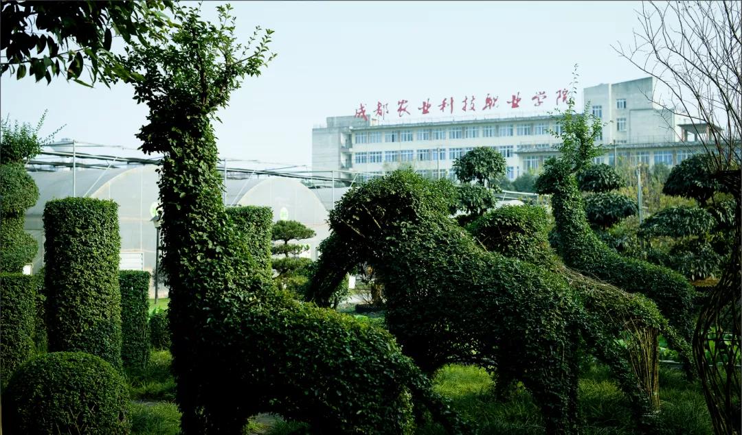 国家优质院校成都农业科技职业学院2021年单招计划