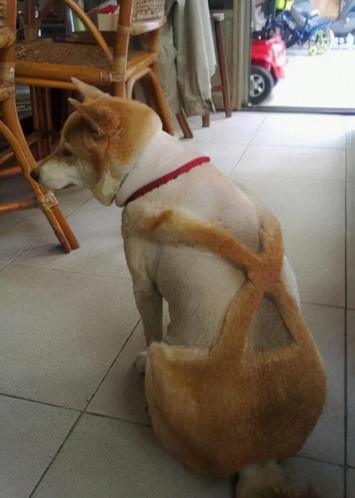 轻松一刻：关于泻火，我有话说