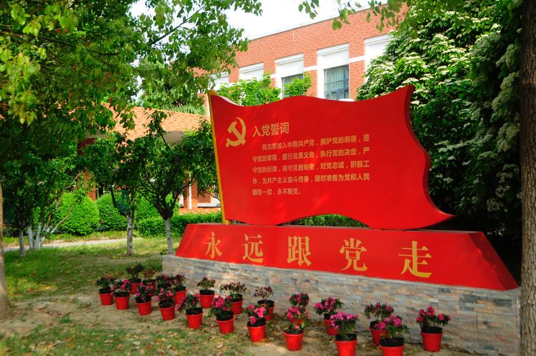 开发区实验学校：美矣美矣，开实芬芳“桃李”