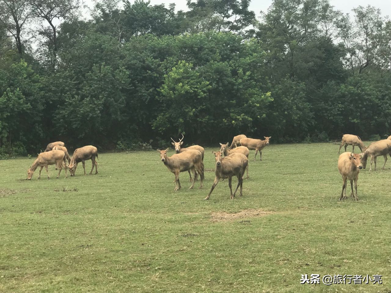 江苏23个5A景点，江苏23个景点游玩攻略榜单，您去过哪些呢