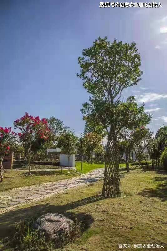 成都创意农业新场景教程（章继刚著）用花园理念重塑田园生活方式