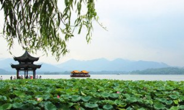 折江大学录取分数线（浙江大学2016）