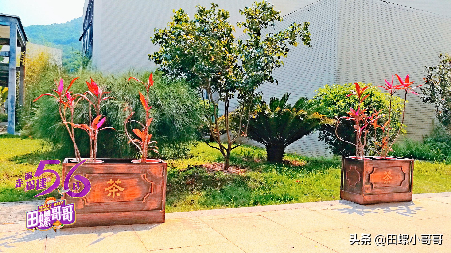 中国第一所，也是唯一一所本科茶学院，深藏于大山里，清新似茶！