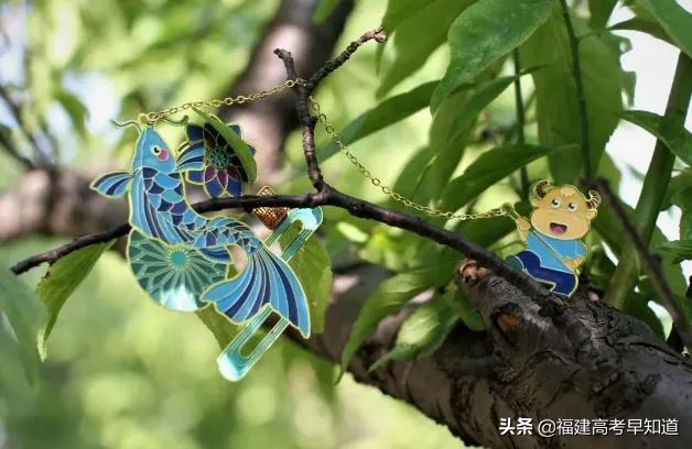 福建省2021年本科提前批录取结束！你最想要的录取通知书来了