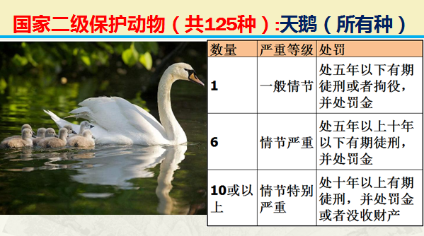 二级保护动物（国家最新125类二级野生保护名录）