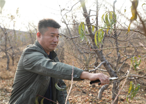 记全国劳动模范、唐山丰润区兴富种植农民专业合作社理事长梁晓东