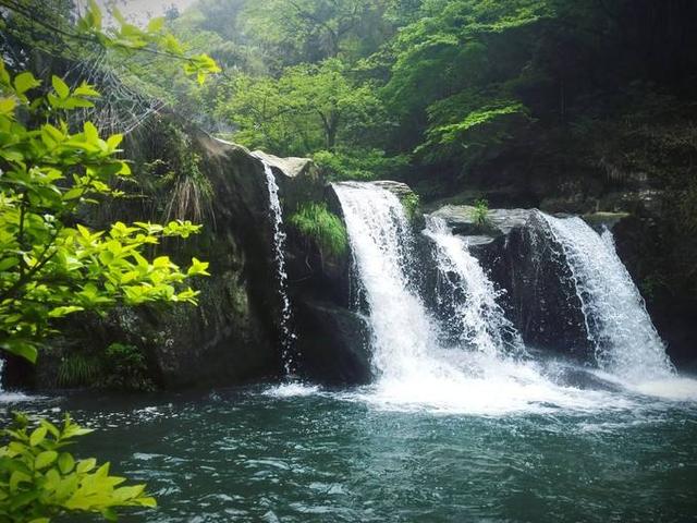 追梦路上，携此岸正欢，看彼岸花开不败