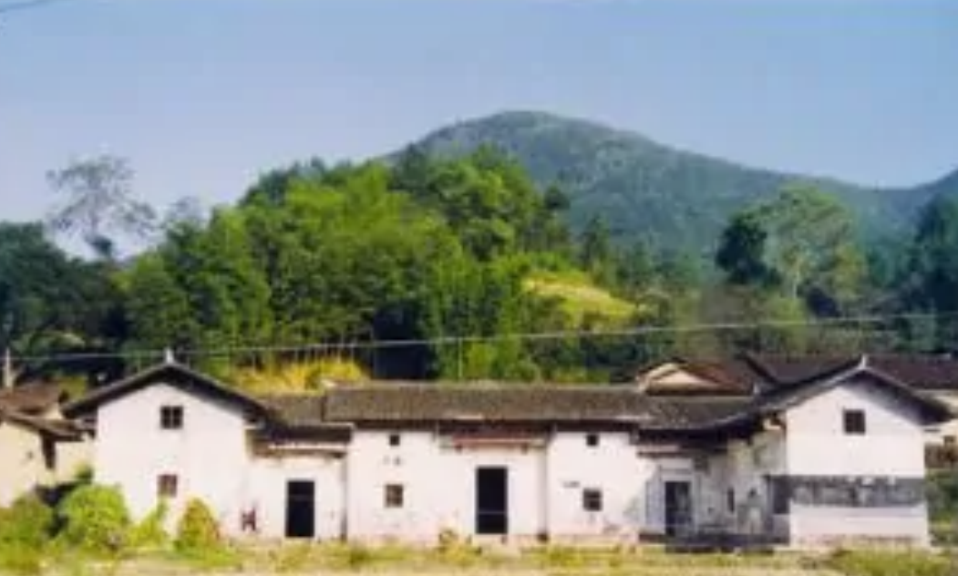 红军厅长牺牲无法被评为烈士，儿子写信找毛主席作证，结局如何？