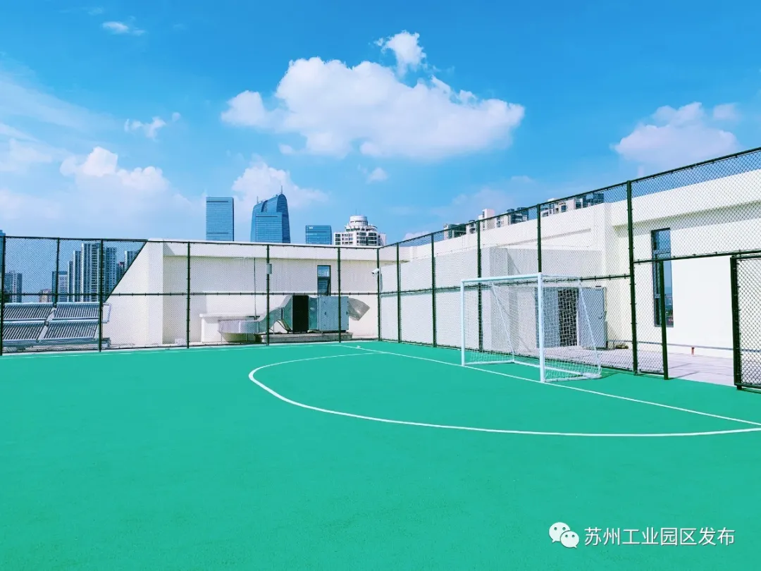 喜迎开学季，园区这些新校启用