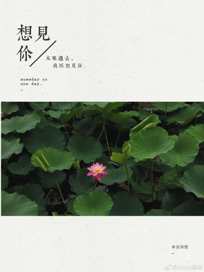 今年的南开大学录取通知书，火火火了