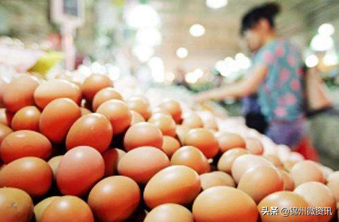 锦州鸡蛋价格小幅攀升，蔬菜价格降幅！猪肉51.53元/公斤！