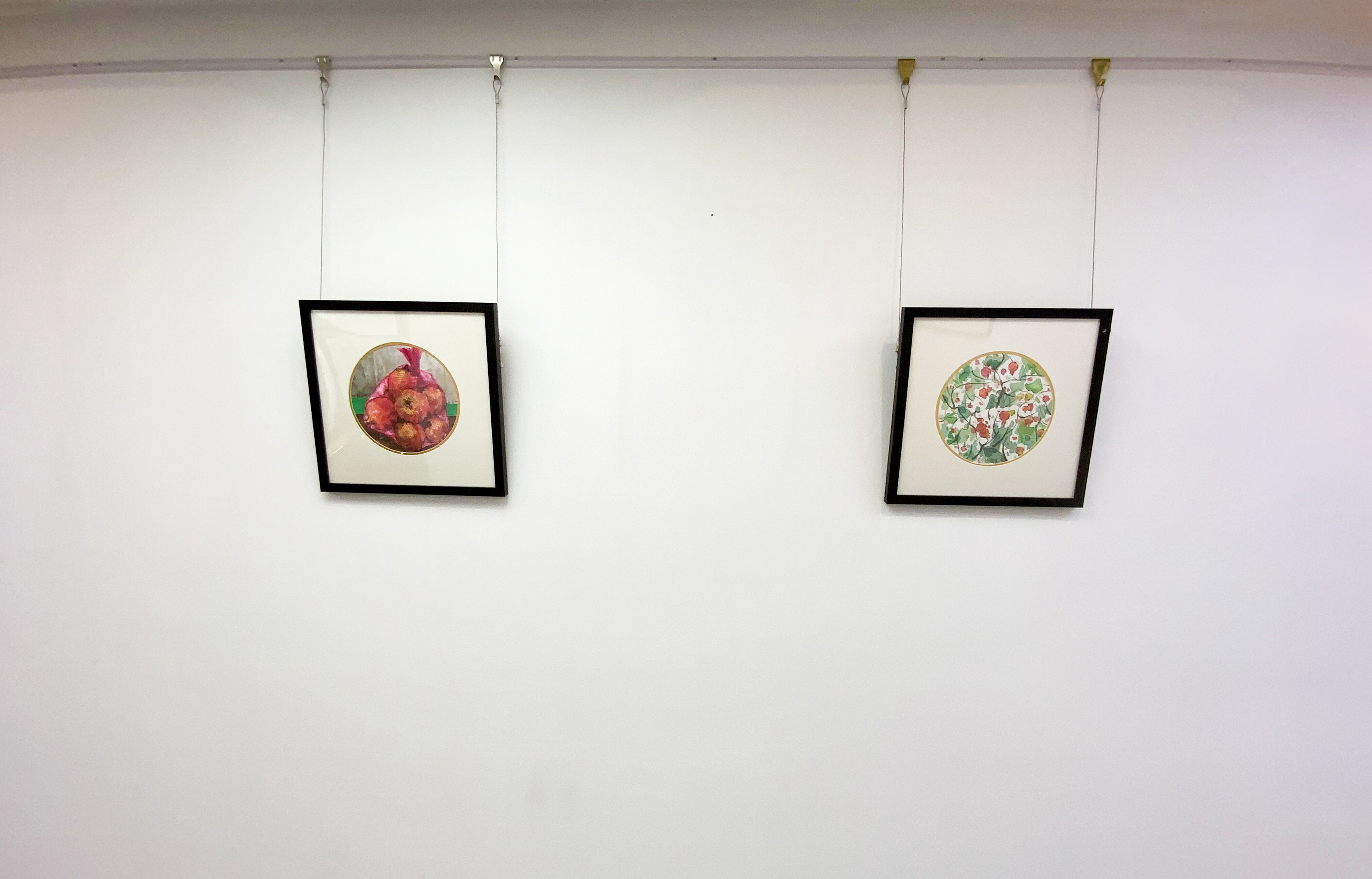 和空间首展｜硕果：黄向前作品展
