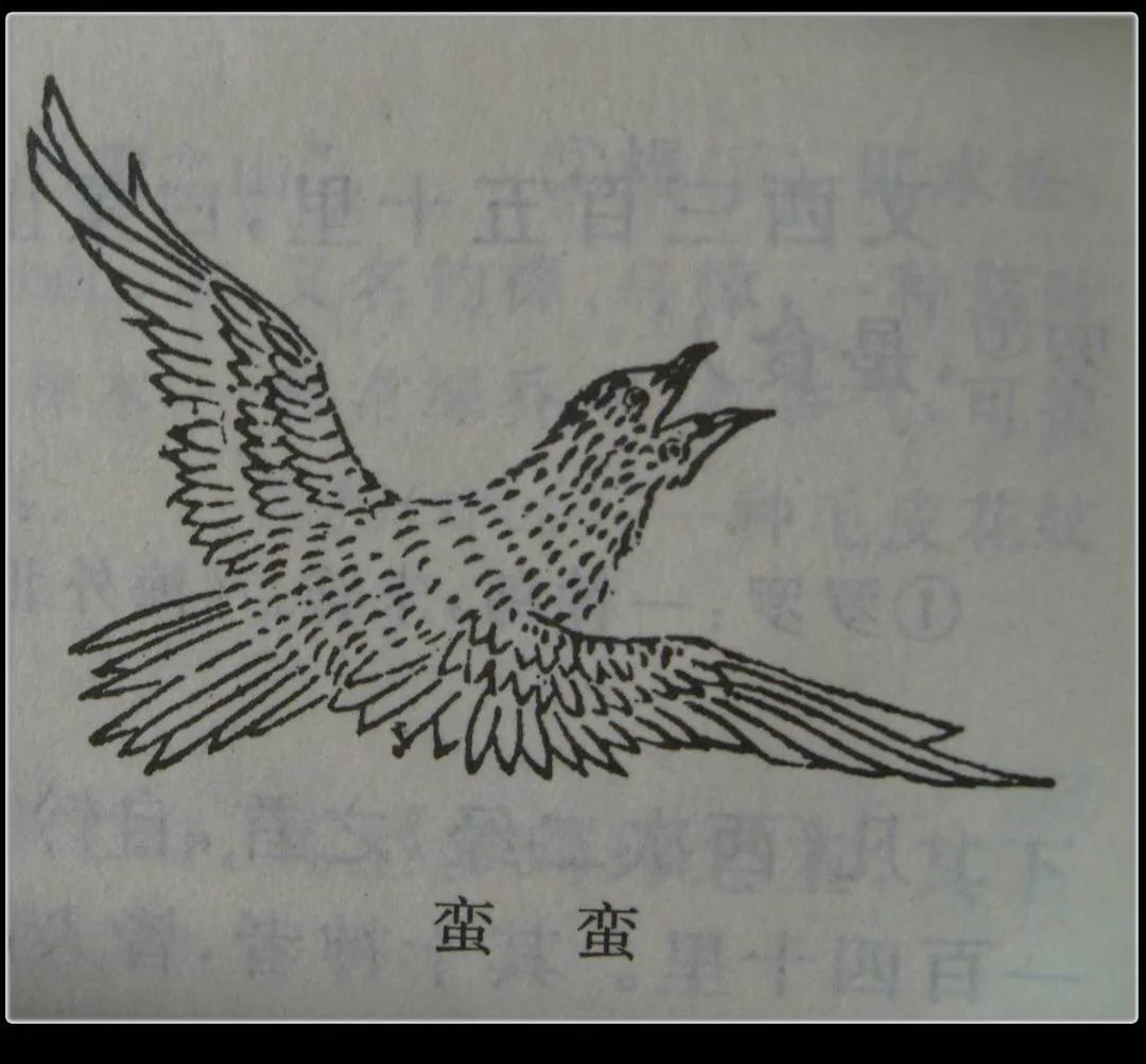 鹣鲽情深出于何古诗(盘点那些古诗词里的典故)