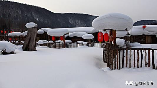 黑龙江省建有高校的2个县