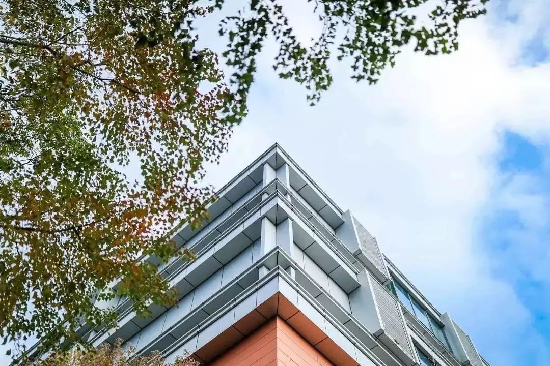 150+国际化学校联合招生！上海家长抽空也要去