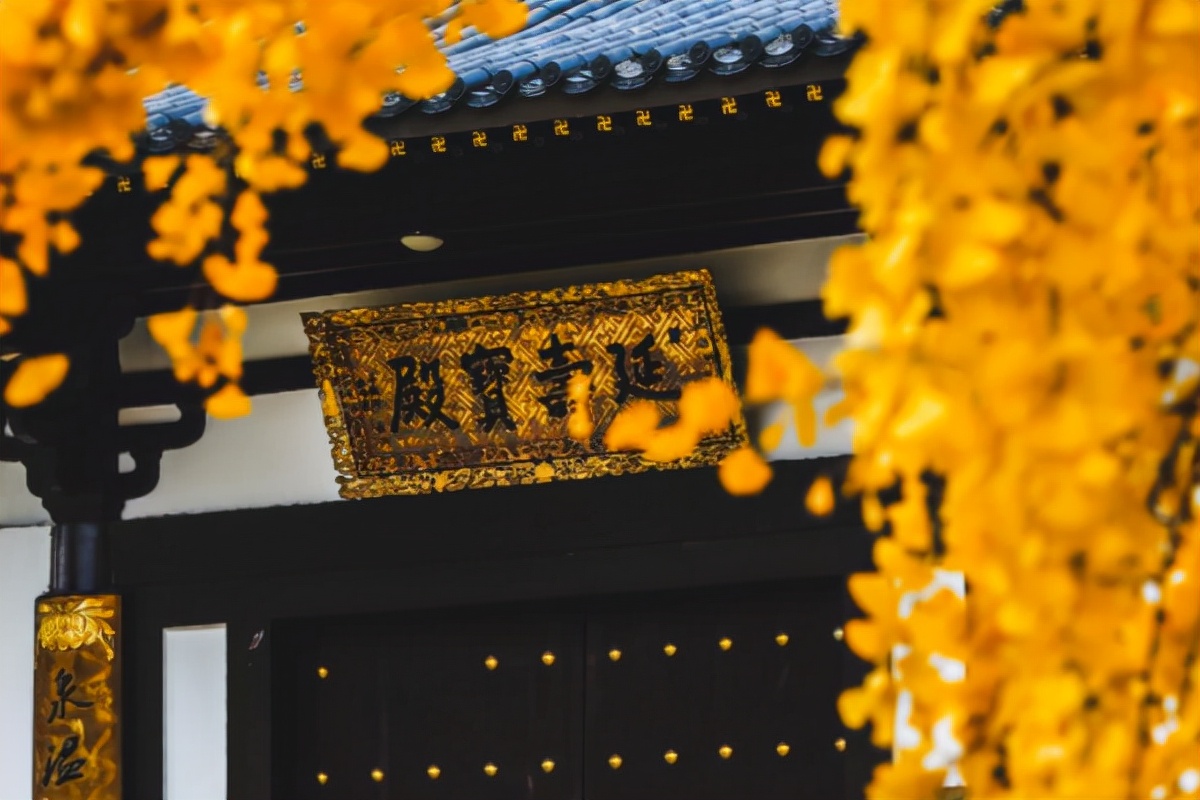 南京正是赏秋“好时节”，栖霞山美得不像话，这份旅游攻略要收好