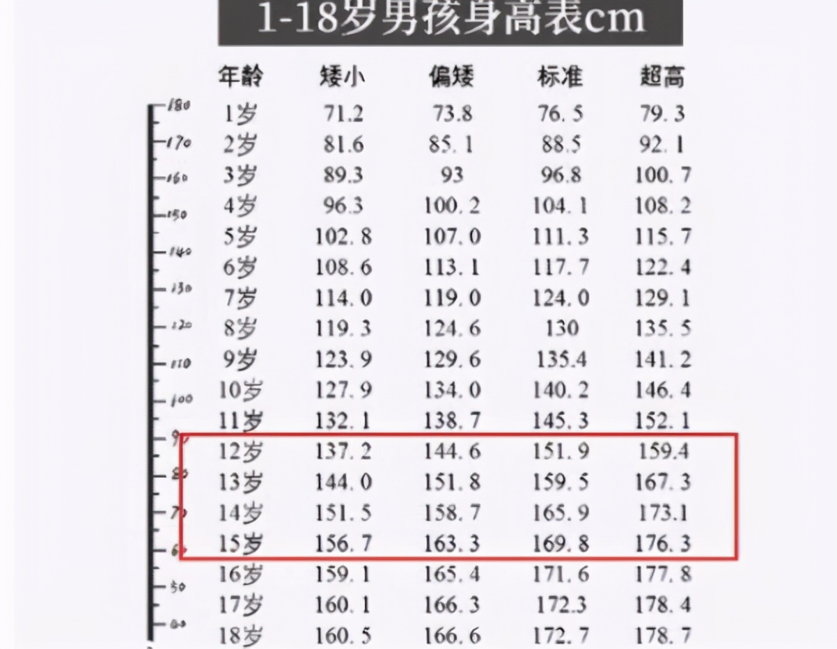 中学生篮球框多高(中学生身高标准表出炉，达到这个标准才算及格，家长要早了解)