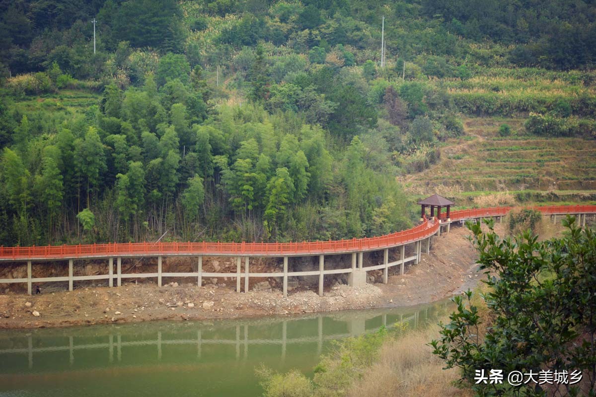 农村人在水边建栈道，散步如旅游，采茶似逛公园