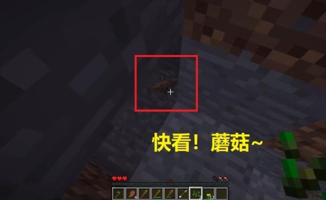 我的世界：只敢在“白天”玩的五大整合包 它比泰坦生物还过分
