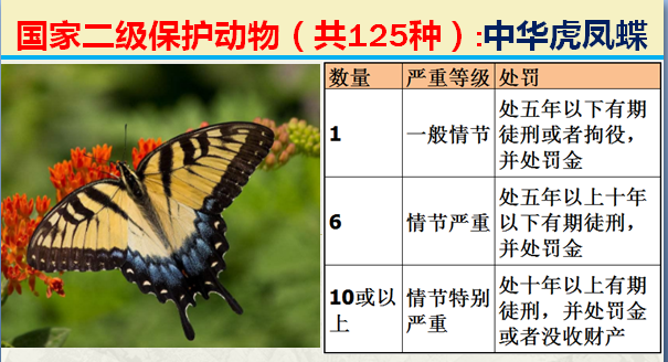 国家保护动物分几个等级（125类二级野生保护名录）