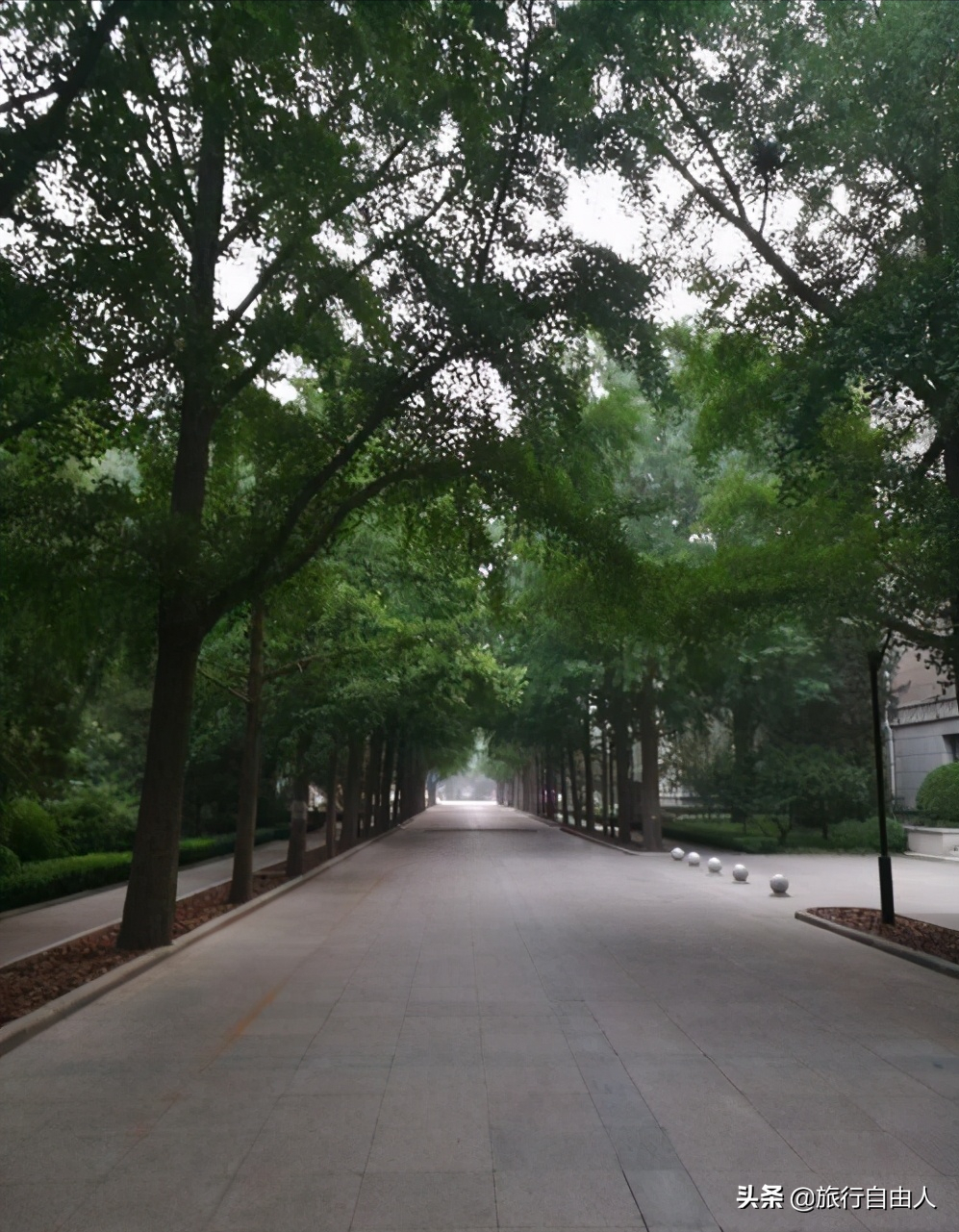 考研初试成绩即将公布，春暖花开之时一起打卡厦门大学