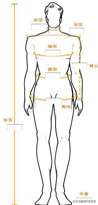 衣长怎么量的正确方法图（量体裁衣7点方法要素）