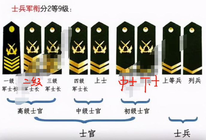 大学生当兵分等级,级别越高待遇越高,想要参军的大学生要知道