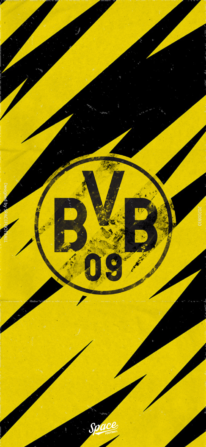 2012欧洲杯壁纸(多特蒙德高清壁纸,哈兰德,罗伊斯喜欢自取)