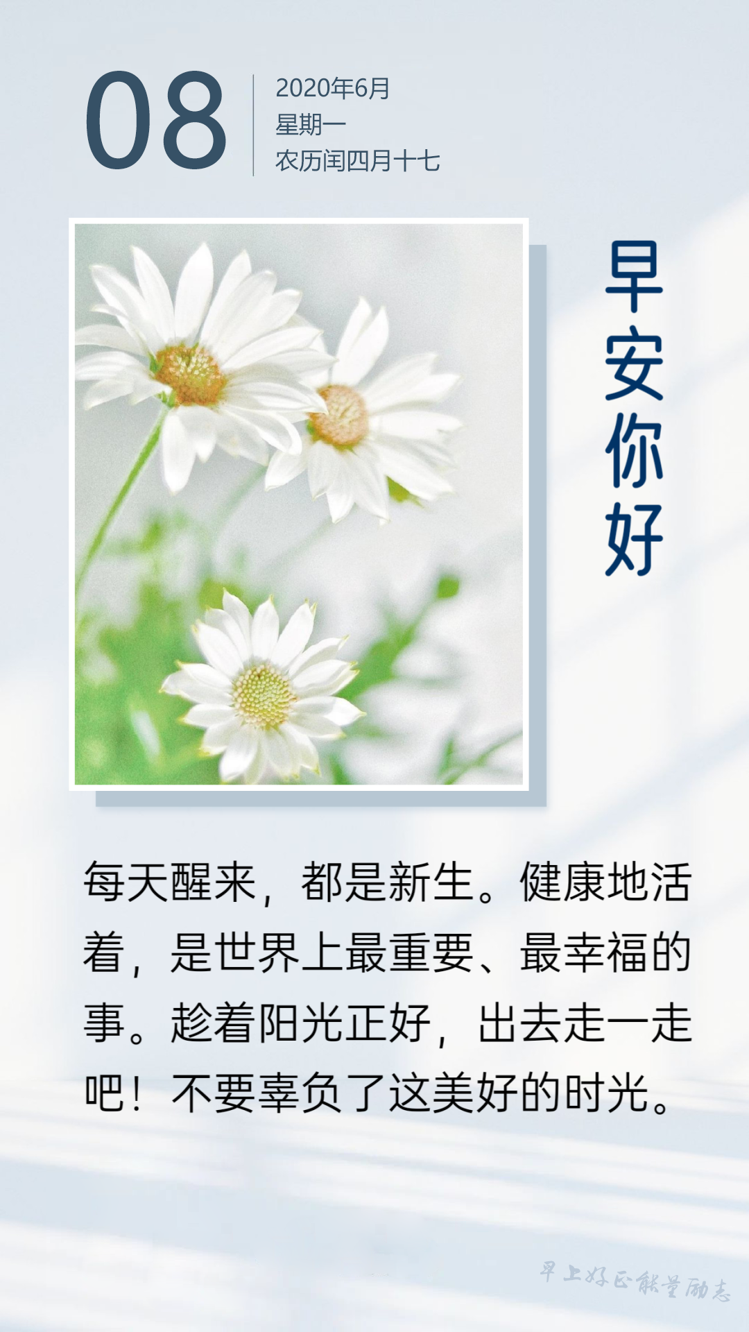 新的一周早上好日签图片正能量说说：努力坚强，不要被生活所打败