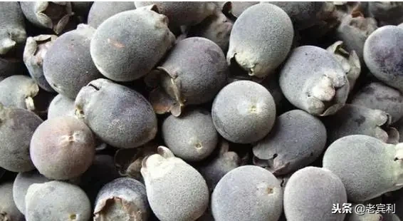 这种东西叫土瓜清甜可口 可做菜炒着吃，可做生果吃你们那叫什么