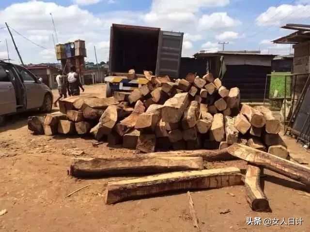 红木市场,最热门的8个品种!