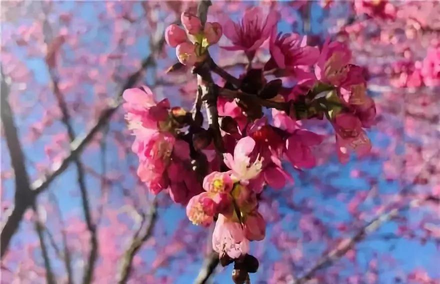 昆明最值得打卡的100个地方！你去过几个？