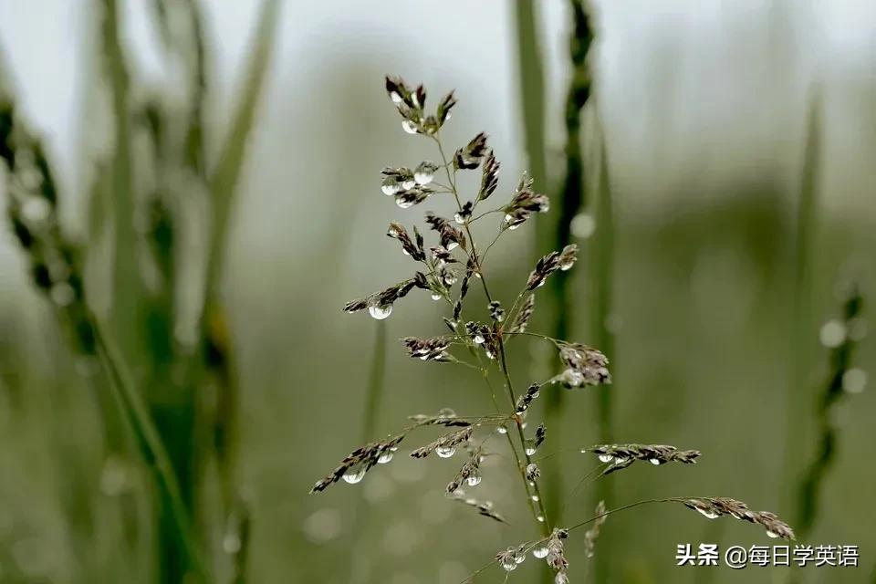 北京冬奥会口号：“Together for a Shared Future”，一起向未来