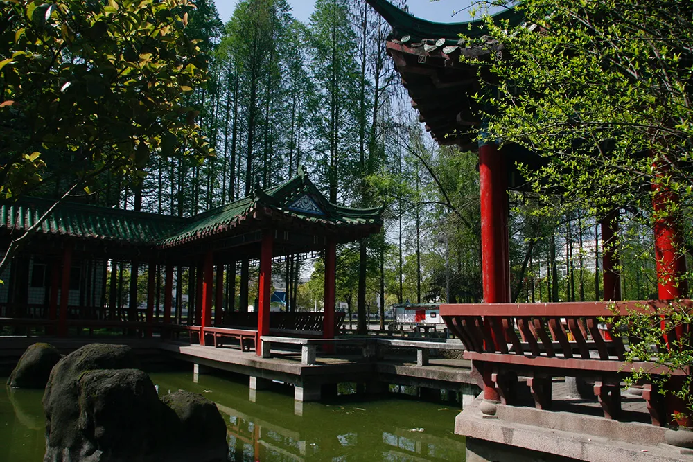 快讯！ 黄冈职院跻身高职院校“双高”计划